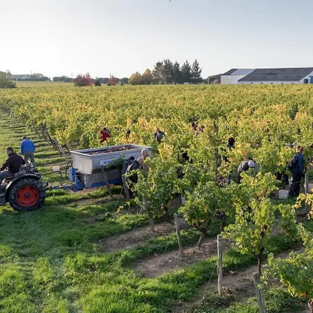 Maison Basalte אגדה