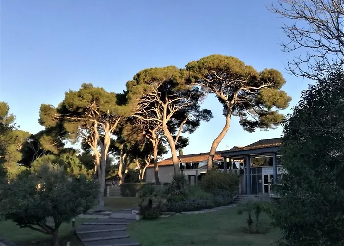 Appartement Maison Basalte *